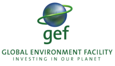 Global Environment Fund