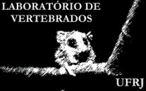 Laboratory of Vertebrates of the Biology Institute of UFRJ (LabVert)